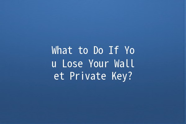 What to Do If You Lose Your Wallet Private Key? 🔑💔
