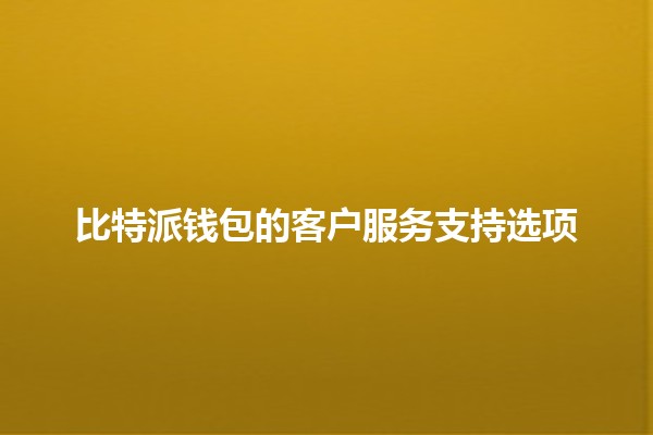 比特派钱包的客户服务支持选项🔐✨