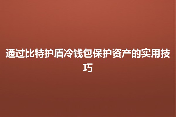 🔐 通过比特护盾冷钱包保护资产的实用技巧