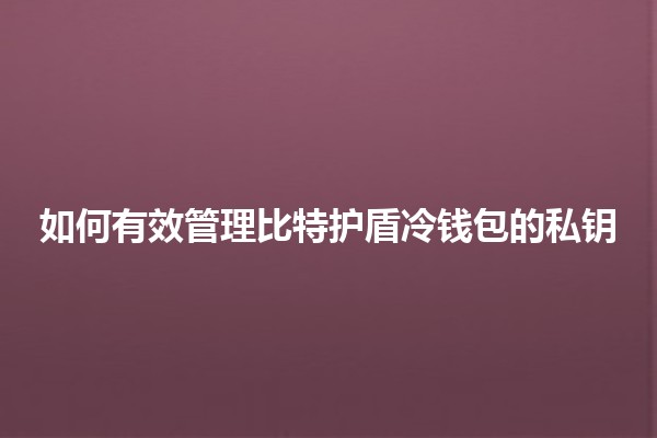 如何有效管理比特护盾冷钱包的私钥💰🔒