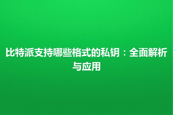 比特派支持哪些格式的私钥：全面解析与应用